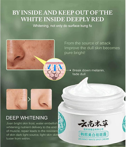 Japanese Melasma Cream Dr. Hancy White Spot Cream 20g